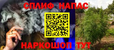амф Камышлов
