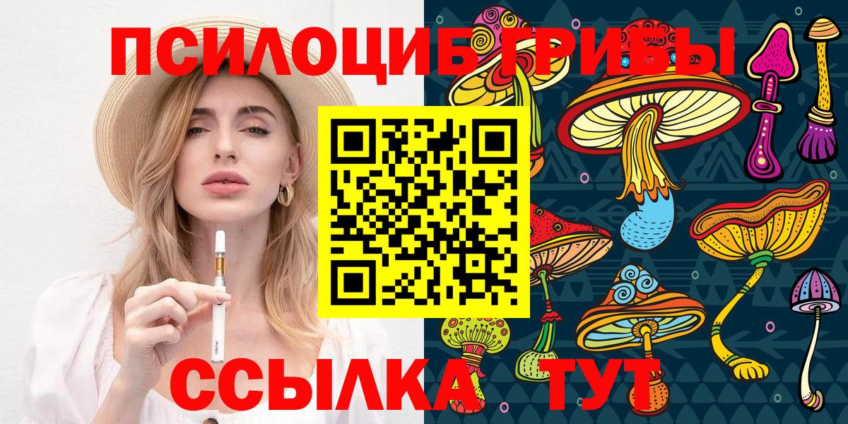 Галлюциногенные грибы Psilocybine cubensis Краснознаменск