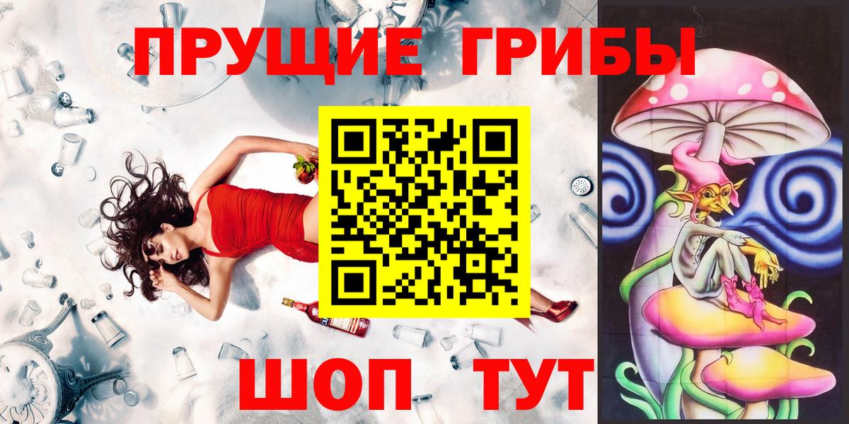 Краснознаменск  Псилоцибиновые грибы Psilocybe  Вход с VPN 
